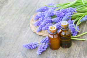 Apprendre l'Aromathérapie